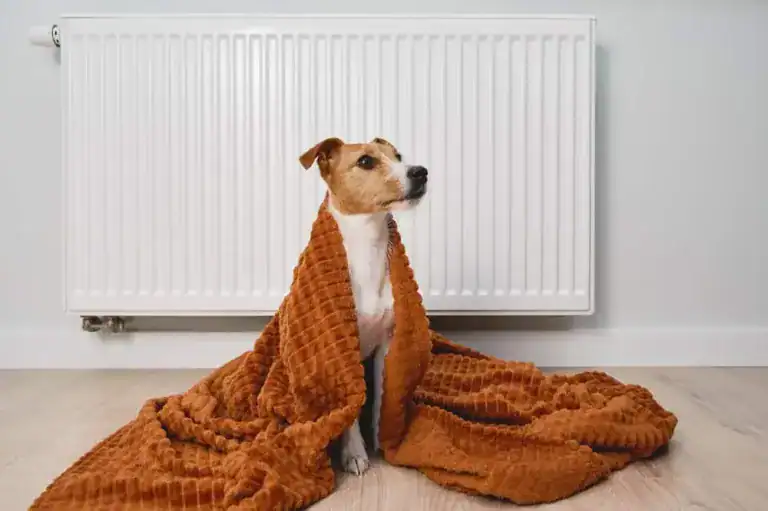 Heating Oil vs. Natural Gas: The Only Comparison That Counts Heating Oil vs. Natural Gas: The Only Comparison That Counts